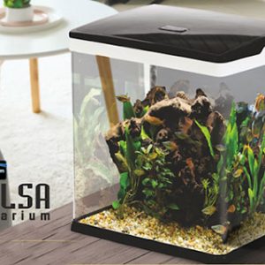 آکواریوم دلسا k500 بدون پایه