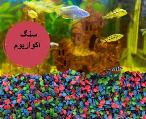 سنگ آکواریوم