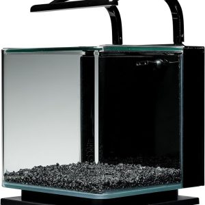 صادرات آکواریوم